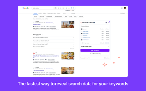 Keyword surfer herramientas para posicionar tu sitio web